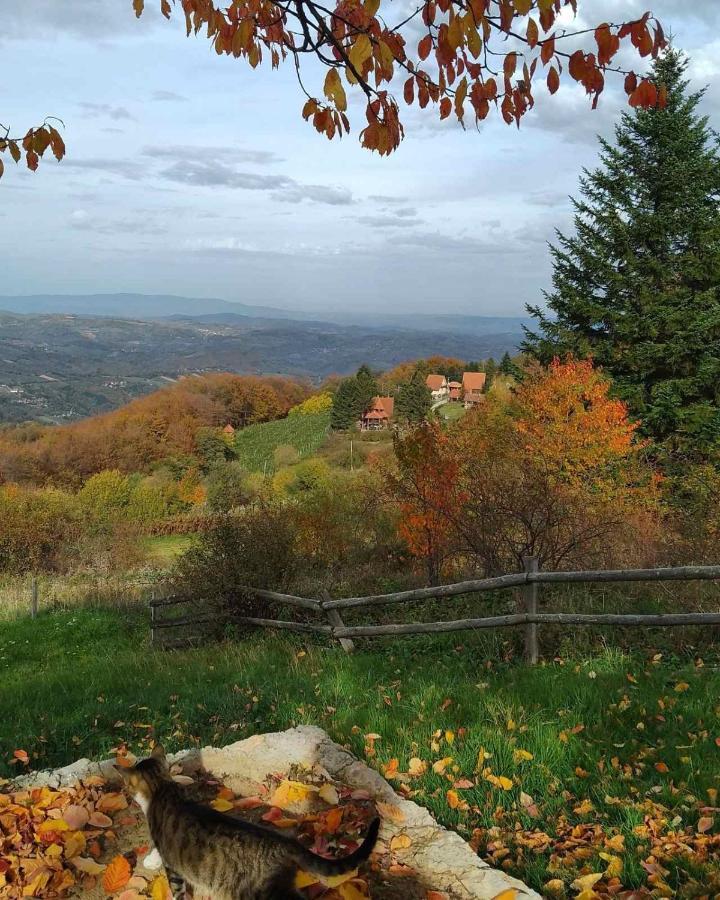 Apartmani Planinska Kuca, Jagodnja Krupanj Buitenkant foto