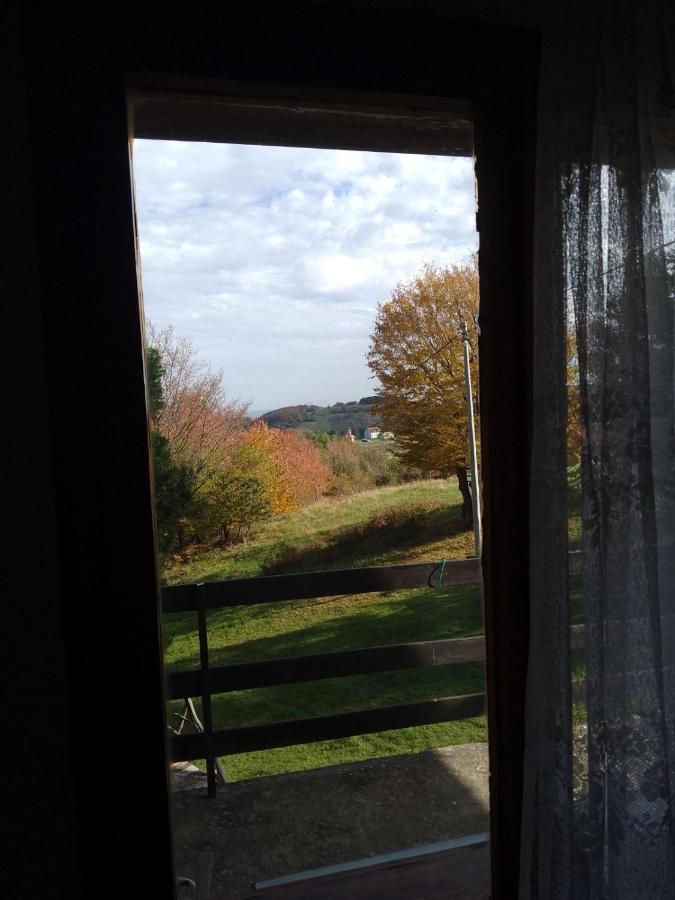 Apartmani Planinska Kuca, Jagodnja Krupanj Buitenkant foto