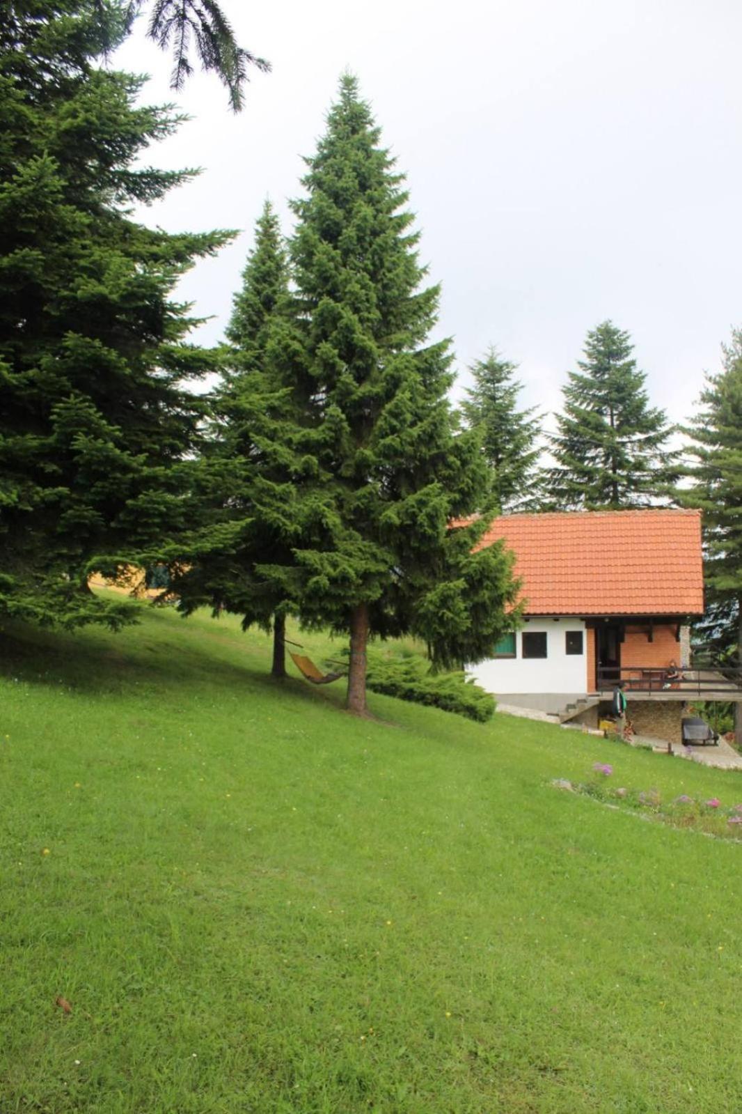 Apartmani Planinska Kuca, Jagodnja Krupanj Buitenkant foto
