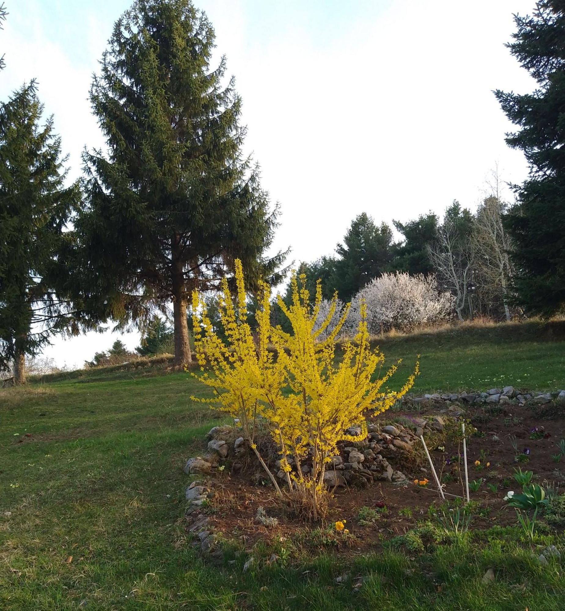 Apartmani Planinska Kuca, Jagodnja Krupanj Buitenkant foto