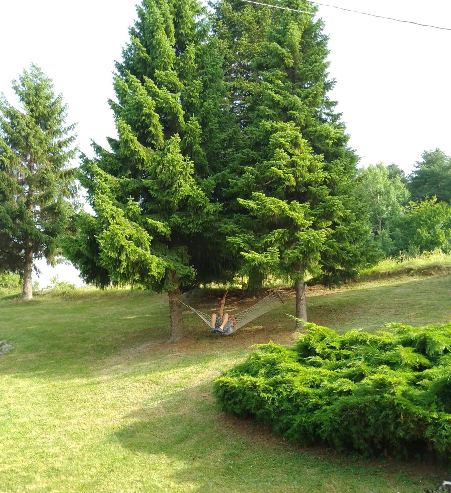 Apartmani Planinska Kuca, Jagodnja Krupanj Buitenkant foto